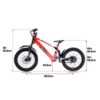 REVVI 20″ Electric bike-electric-bike-